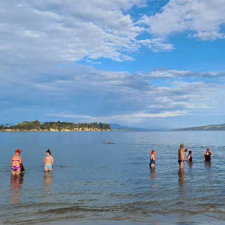 Bruny Wild Swimmers